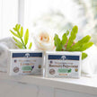 Natural Handmade Soap Bars Gift Set Lavender Citrus Rosemary Peppermint