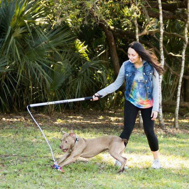 Dog Flirt Pole