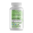 Digestive Health Probiotics