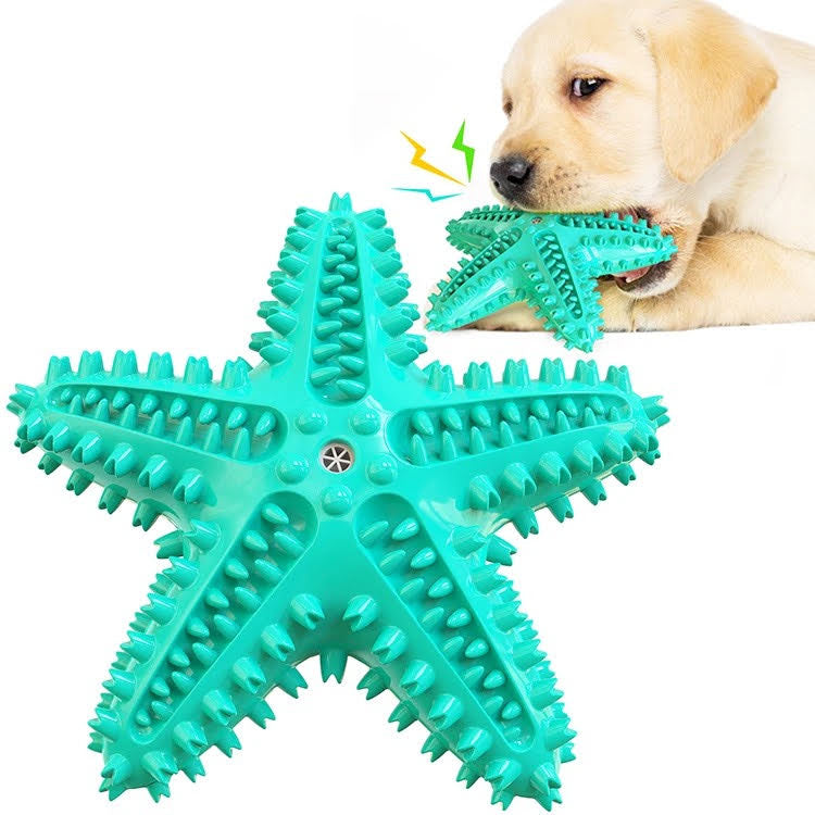 Squeaky Dental Play Set