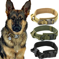 Collier tactique militaire durable pour chien, expédition rapide