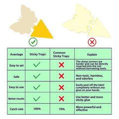 Trampas adhesivas para moscas de la fruta, trampas para matar mosquitos y hongos, para uso en interiores y exteriores
