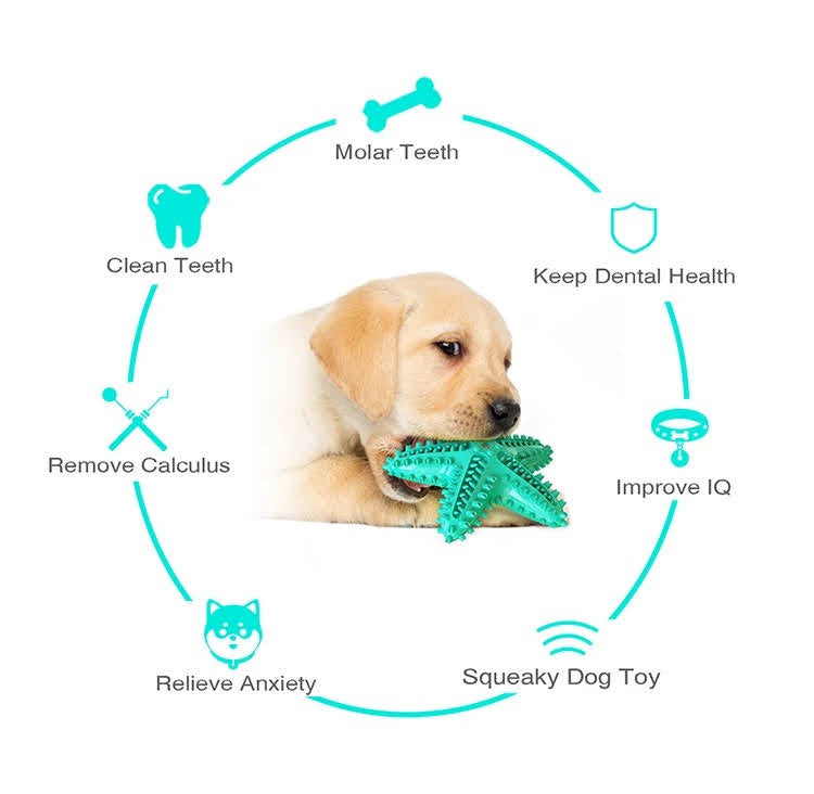 Squeaky Dental Play Set