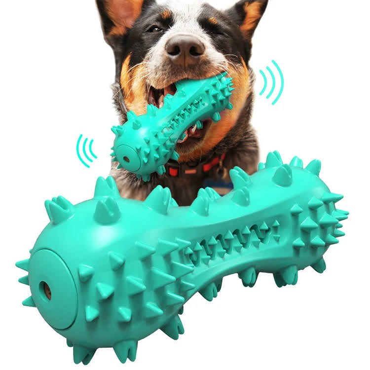 Squeaky Dental Play Set