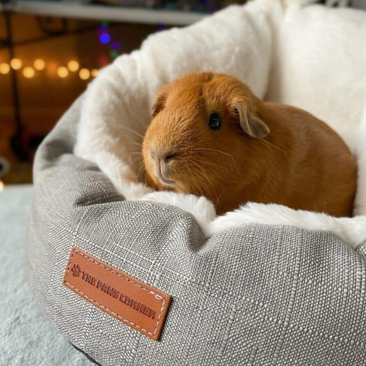 Comfy Cat And Dog Bed (Grey small)