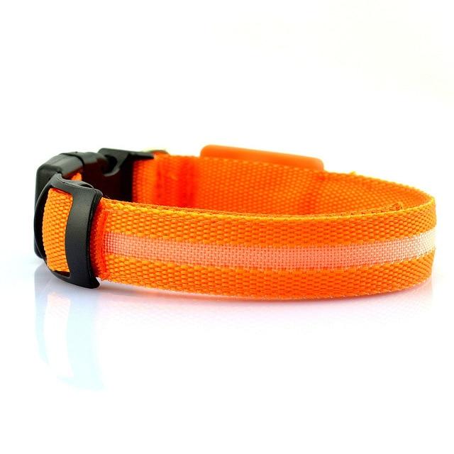 Rechargeable LED Dog Collar