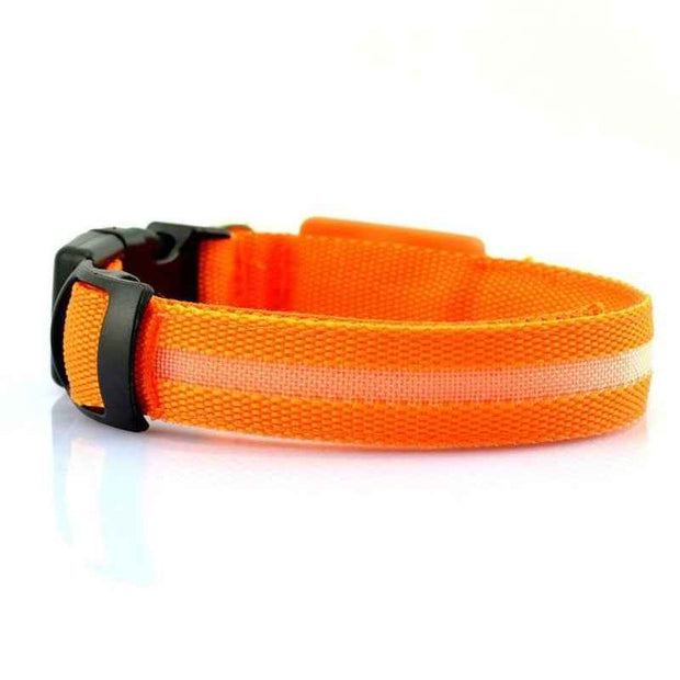 Rechargeable LED Dog Collar