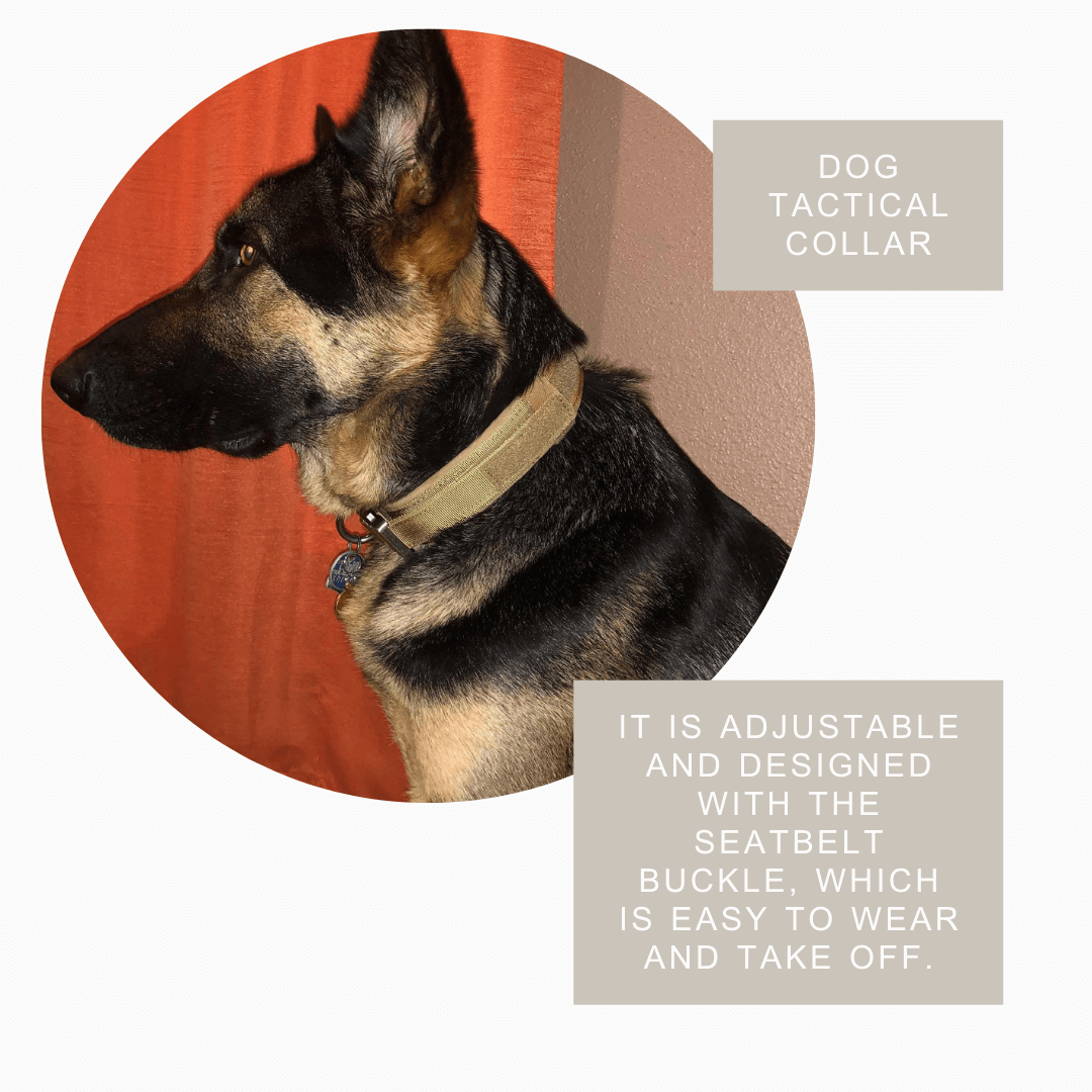 Tactical Canine Collar