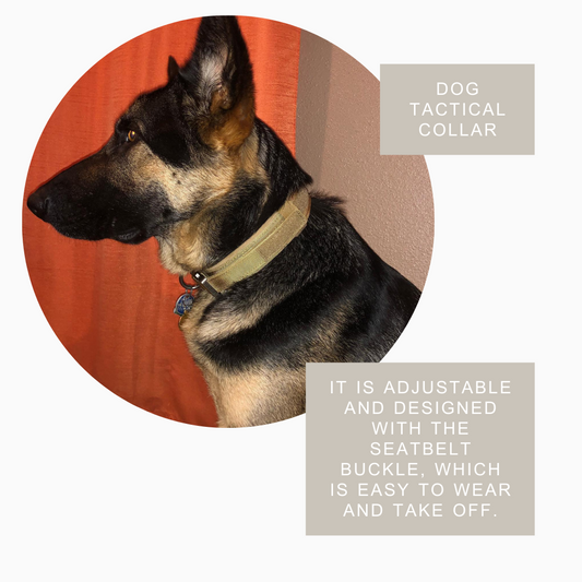 Tactical Canine Collar