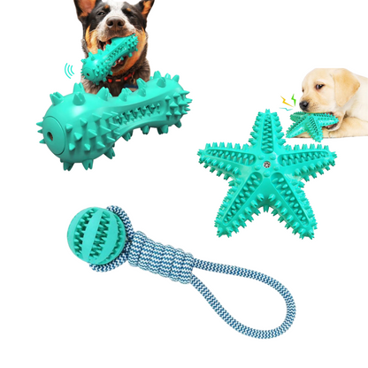 Squeaky Dental Play Set