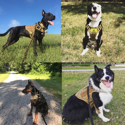 Military Dog Harness
