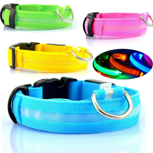 USB Rechargeable LED Dog Collar