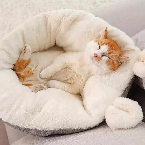 Cama ultra acogedora para mascotas
