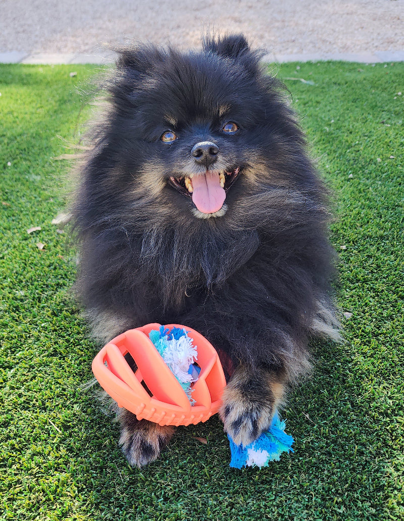Jouet à mâcher en caoutchouc pour chien en forme de ballon de football avec corde à tirer