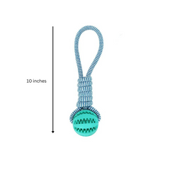 Lot de 3 brosses à dents couinantes et jouets pour chien en corde de coton, livraison rapide 