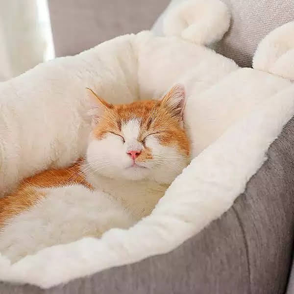 Cama ultra acogedora para mascotas