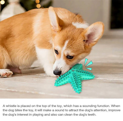 Squeaky Dental Play Set