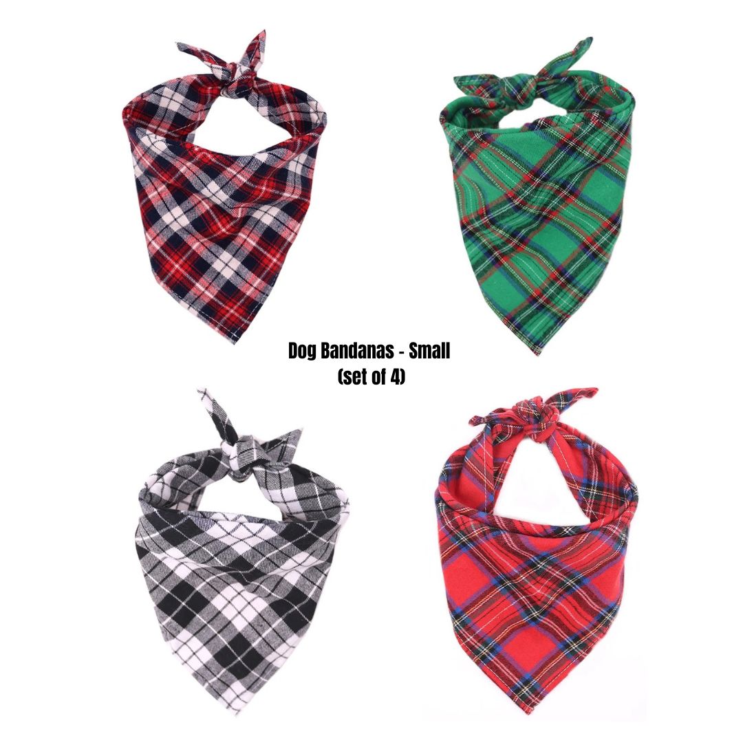 Fashionable Dog Bandana Set