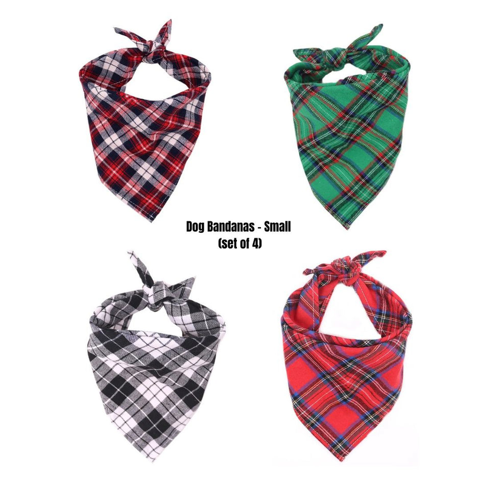 Fashionable Dog Bandana Set