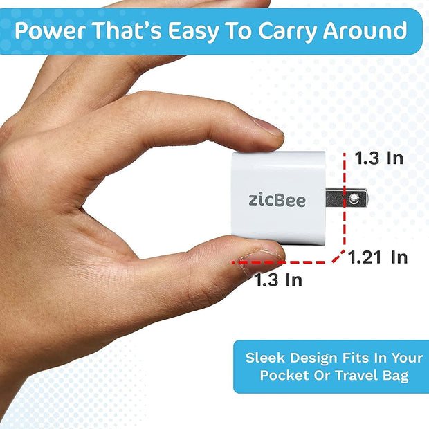 20W Dual Phone Charger