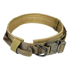 Collier tactique militaire durable pour chien, expédition rapide