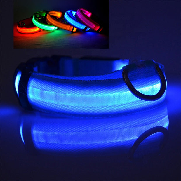 Collar LED para perro recargable por USB 
