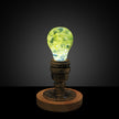 EP LIGHT Floral Resin LED Decorative Bulb Lamp with Wooden Base