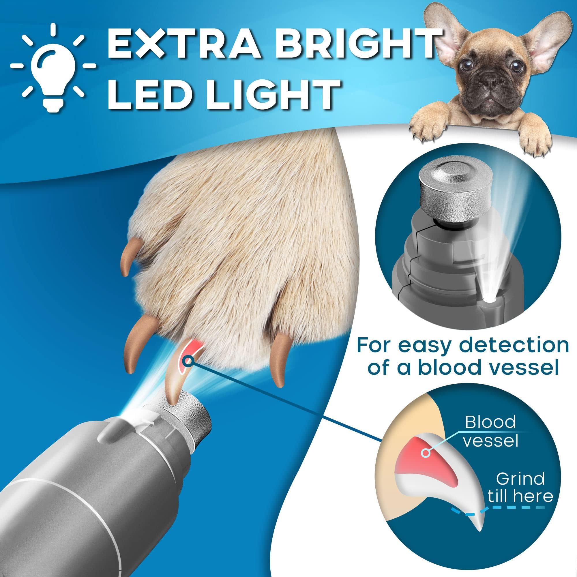 LED Dog Grinder