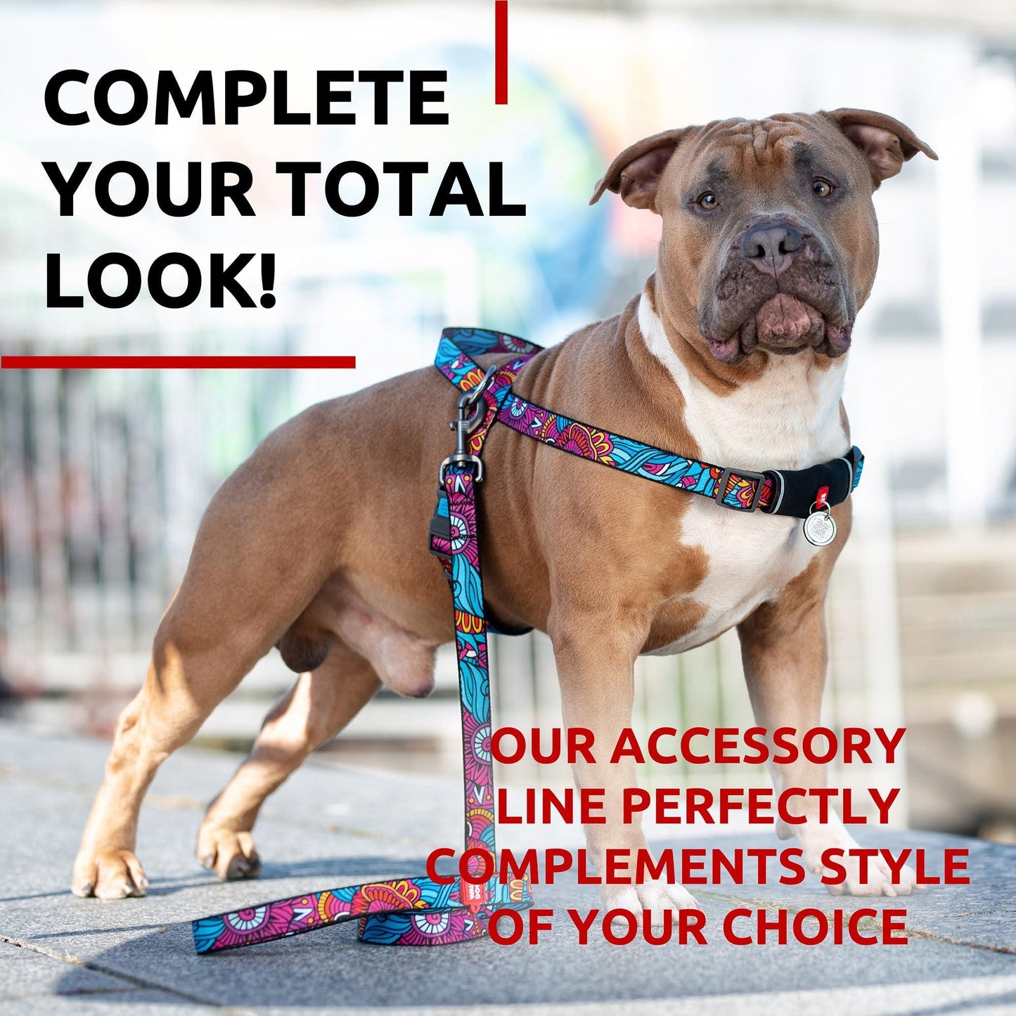 WAUDOG 4 Ft Nylon Dog Leash for Small Dogs and Medium Dogs