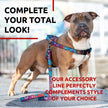 Correa de nailon para perros