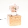 C.P.LIGHT Glass Accent Lamp with Wooden Cube Base