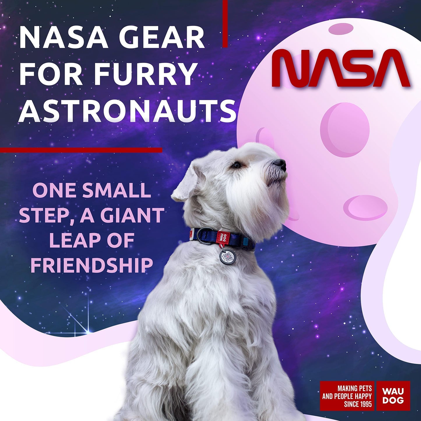 Adjustable Dog Collars – S to L
