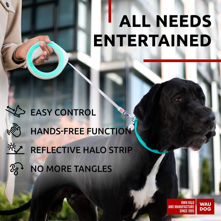 Correas retráctiles manos libres para perros pequeños, medianos y grandes.