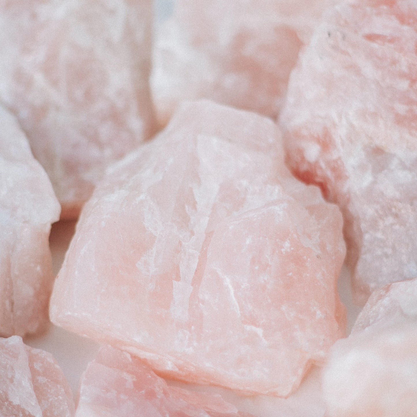 Rosé Bloom Diffuser