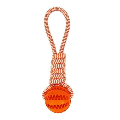 Interactive Rubber Ball Toy