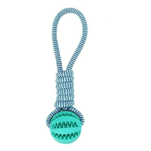 Interactive Rubber Ball Toy