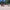 Crimson Tea Lens Sunglasses