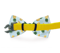 Space Dog Bow Tie