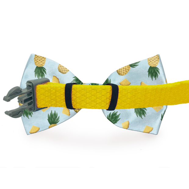 Candy Stripe Bow